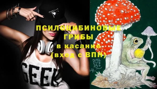 герыч Новодвинск
