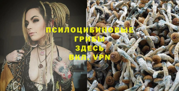 MESCALINE Новокубанск