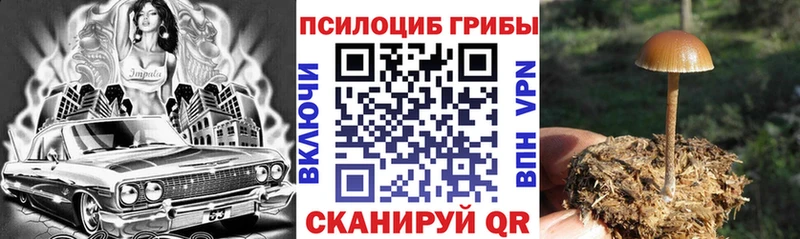 продажа наркотиков  Приморско-Ахтарск  Галлюциногенные грибы Magic Shrooms 